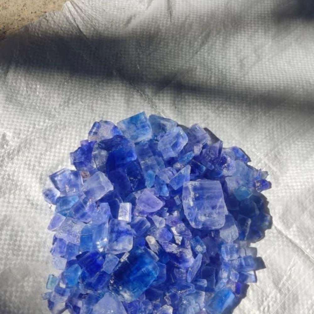 صادرات نمک