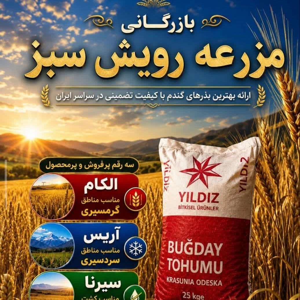 فروش بذر مادری وارداتی