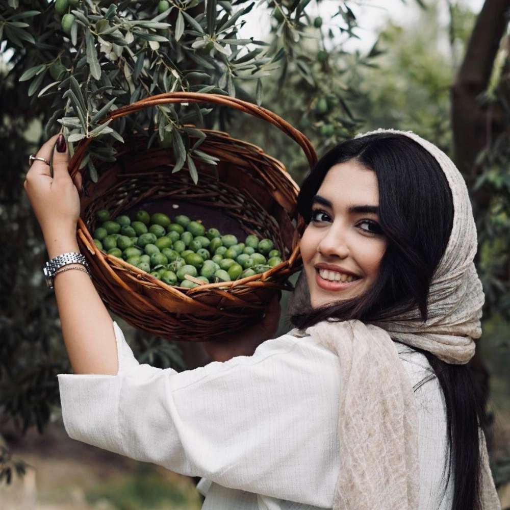 روغن زیتون طارم