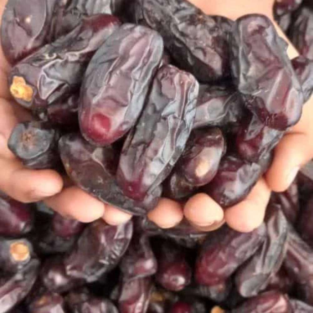 قیمت کارتن خرمای کبکاب ۱۰ کیلویی فله از نخلستان دشتستان