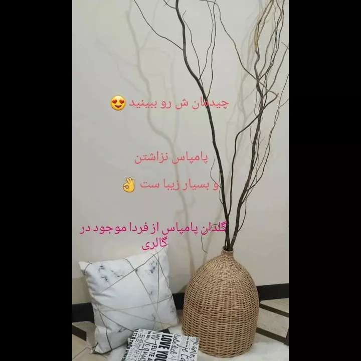 1691044150891.webp