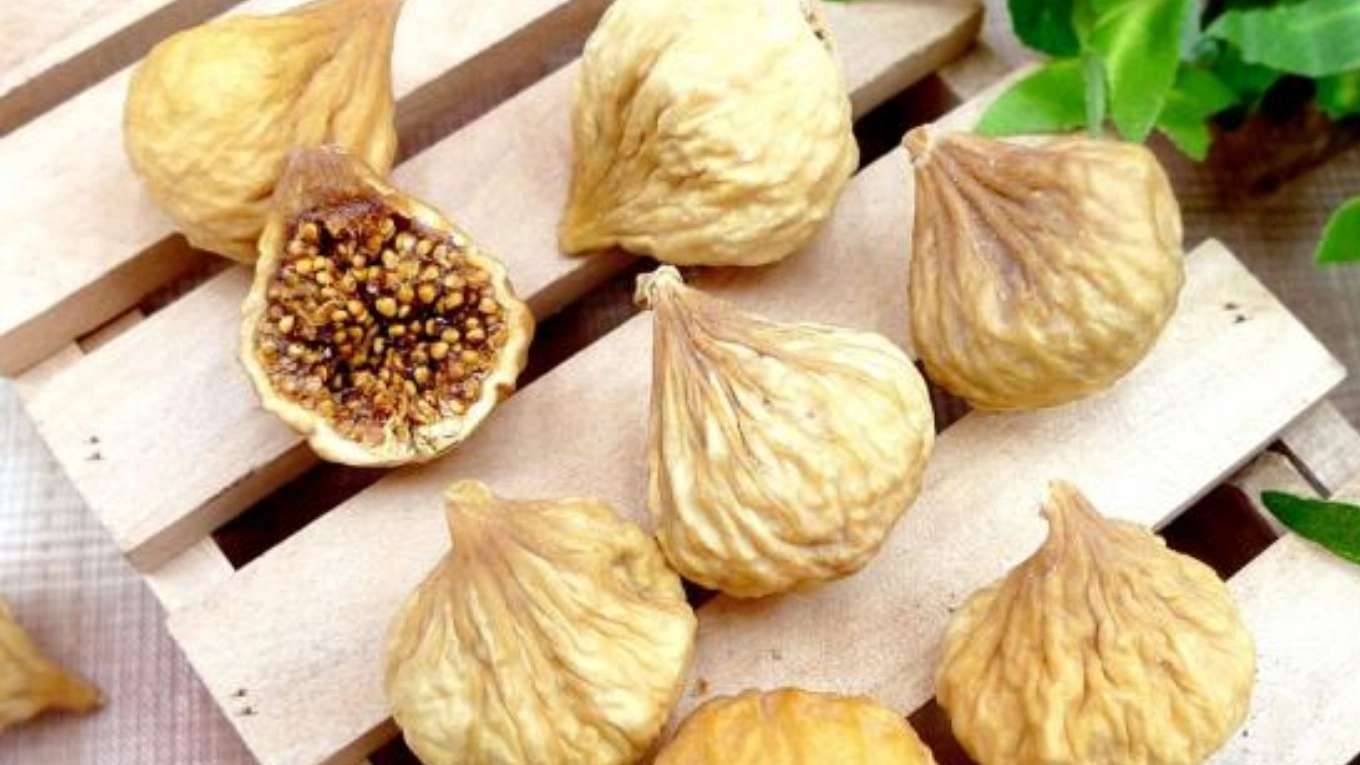 بدره استور