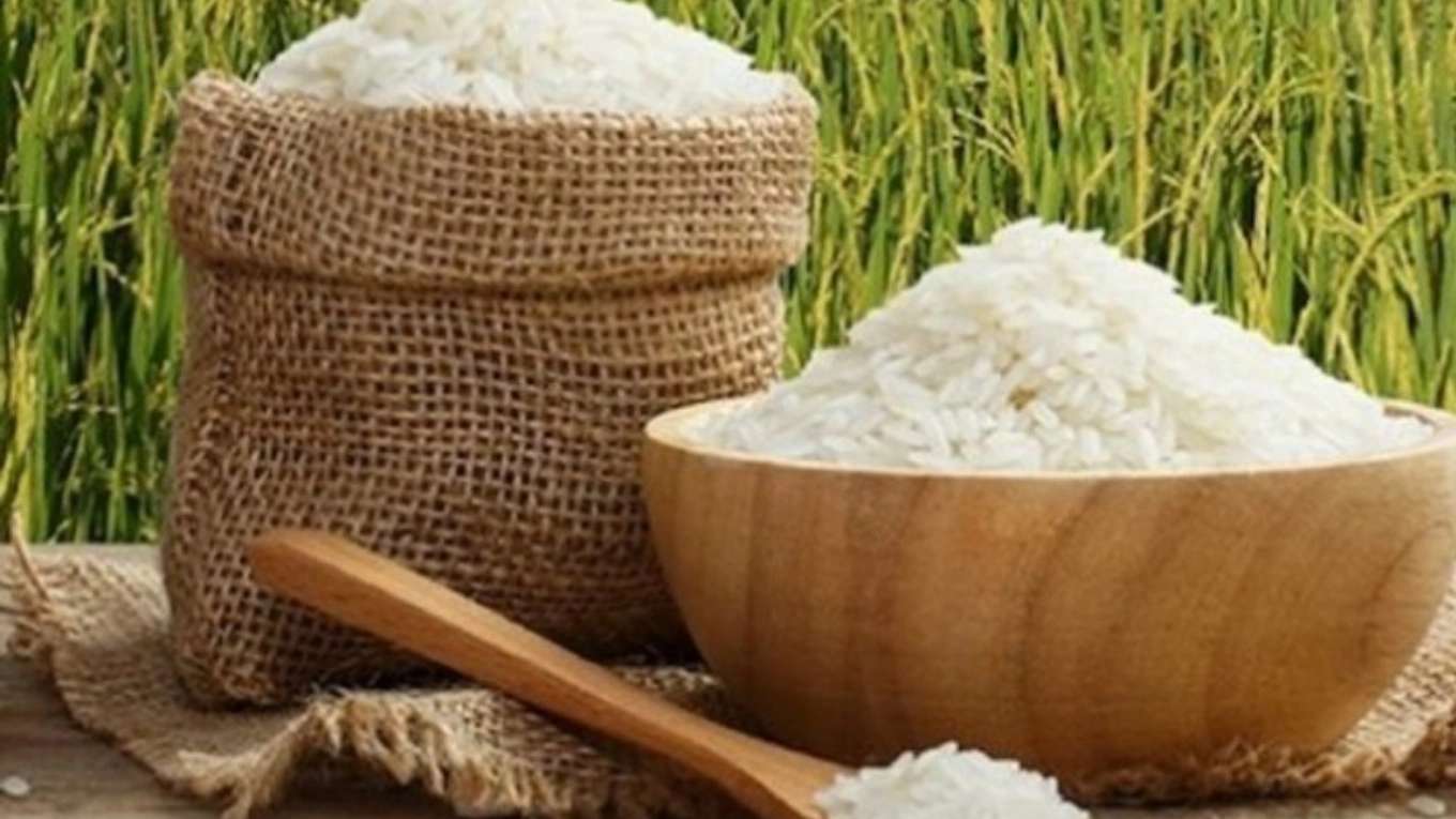 برنج فروشی خزر