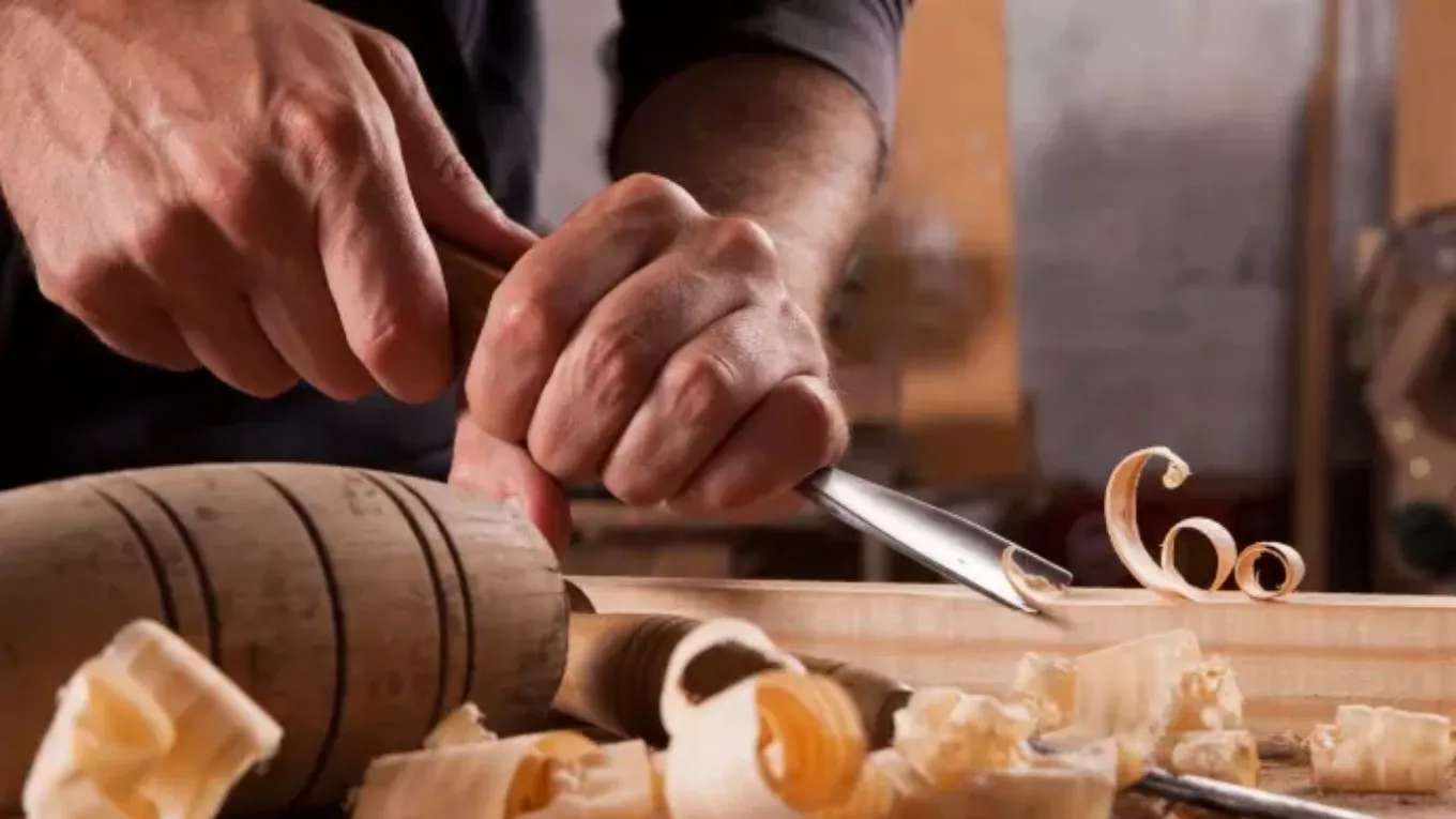 خراطی راش در گنبد کاووس