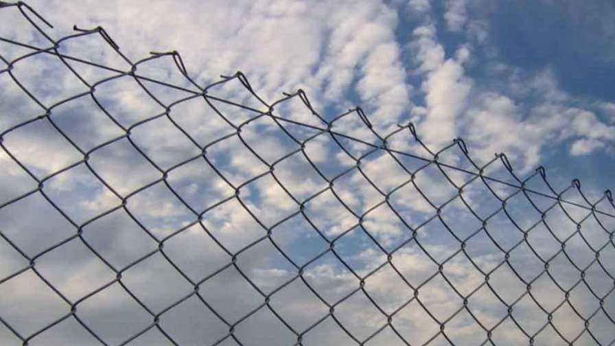 فنس شاهوار عامری