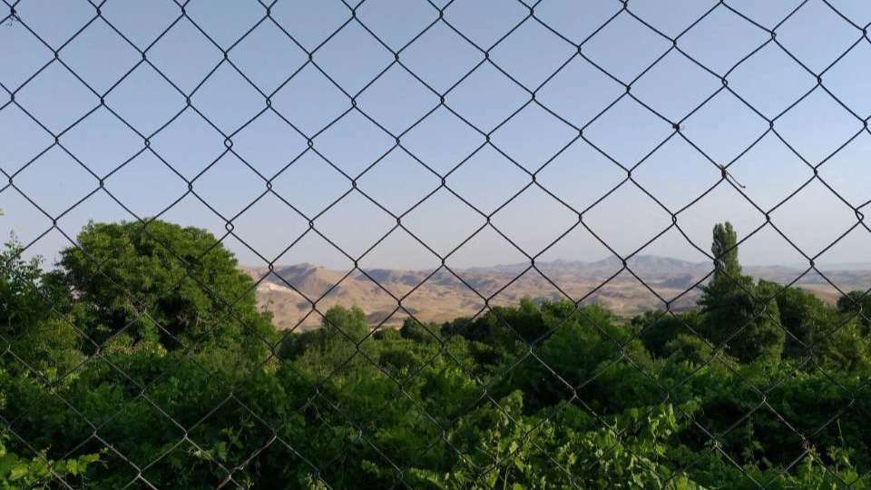 فنس شاهوار عامری