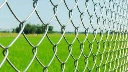 فنس شاهوار عامری