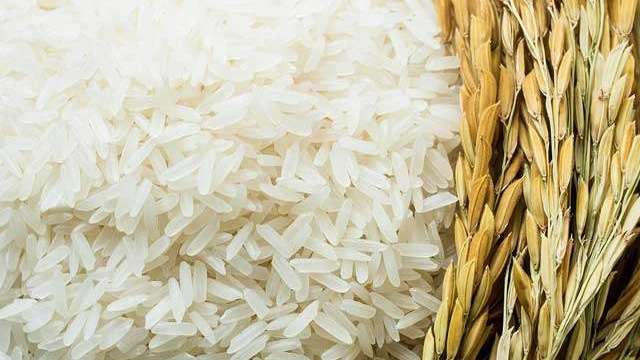 برنج فروشی شمال