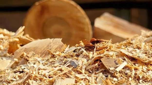صنایع mdf متوجه