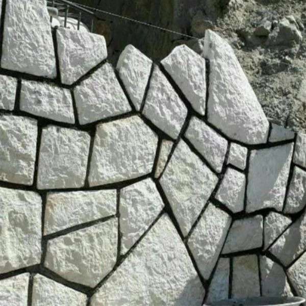 1698911747852.webp