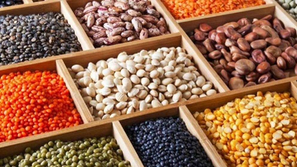 حبوبات بسته بندی شده زمانی