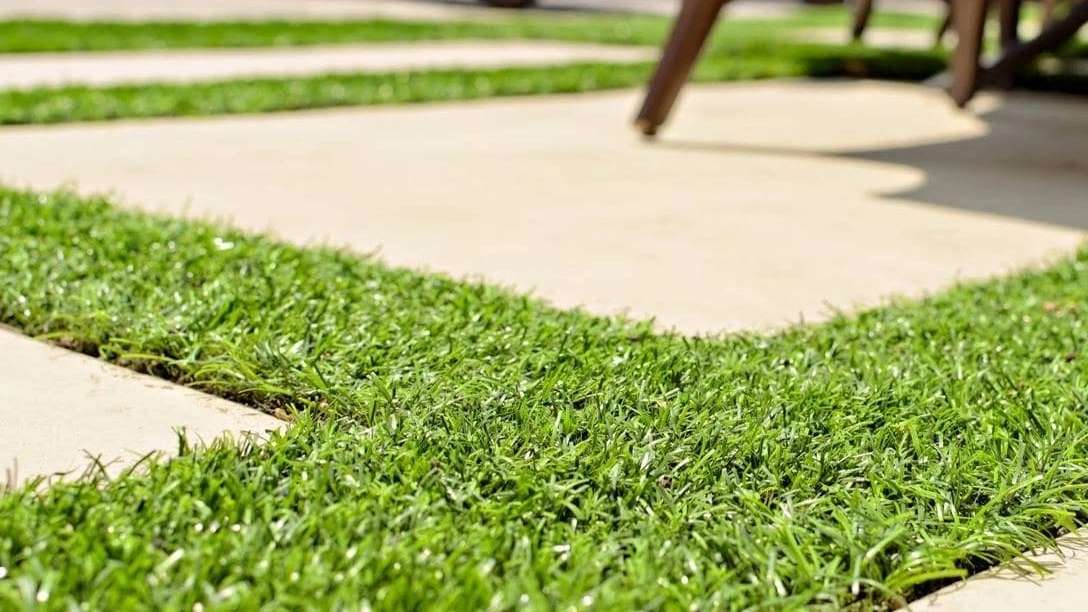 مصنوعی و فضای سبز نورچمن