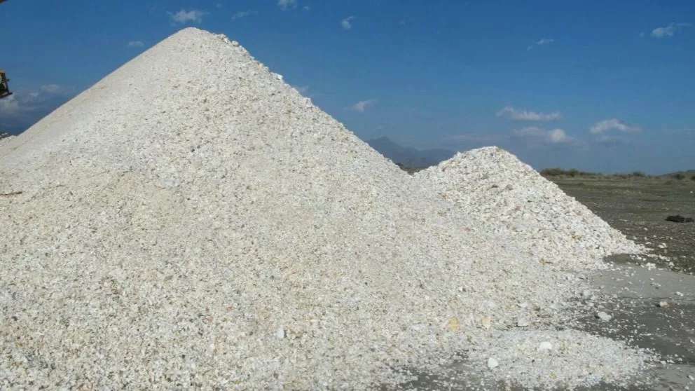 بورس شن و ماسه علیرضا نعیمی