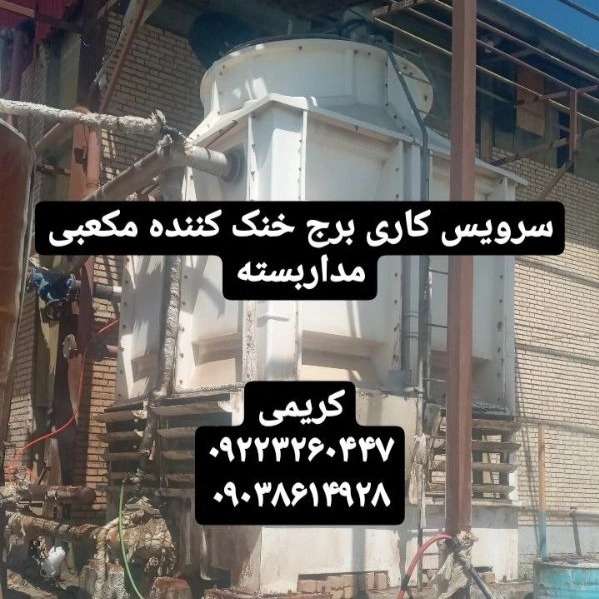 1699689160319.webp