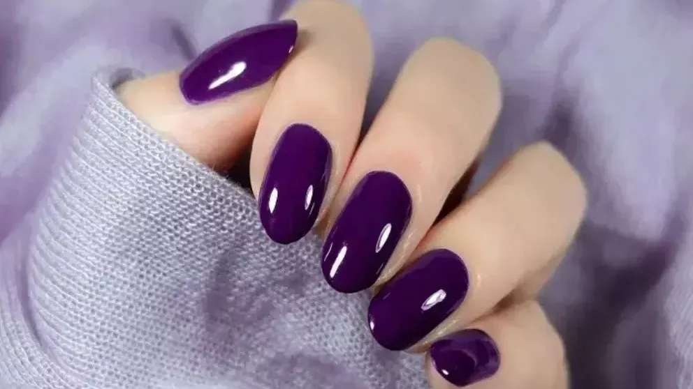 رنگ و لایت و کراتین پانیذ خانی