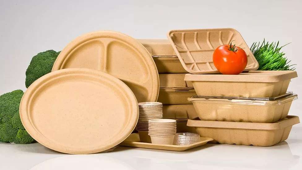 ظروف یکبار مصرف محسنی