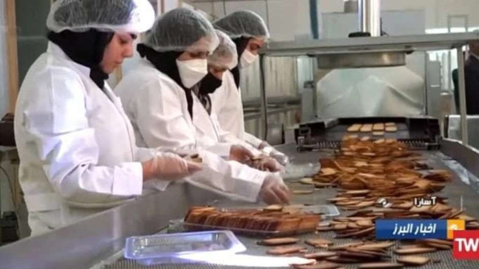 بیسکویت شیرین پالایش جوین