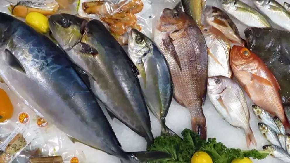 ماهی سرای آرال
