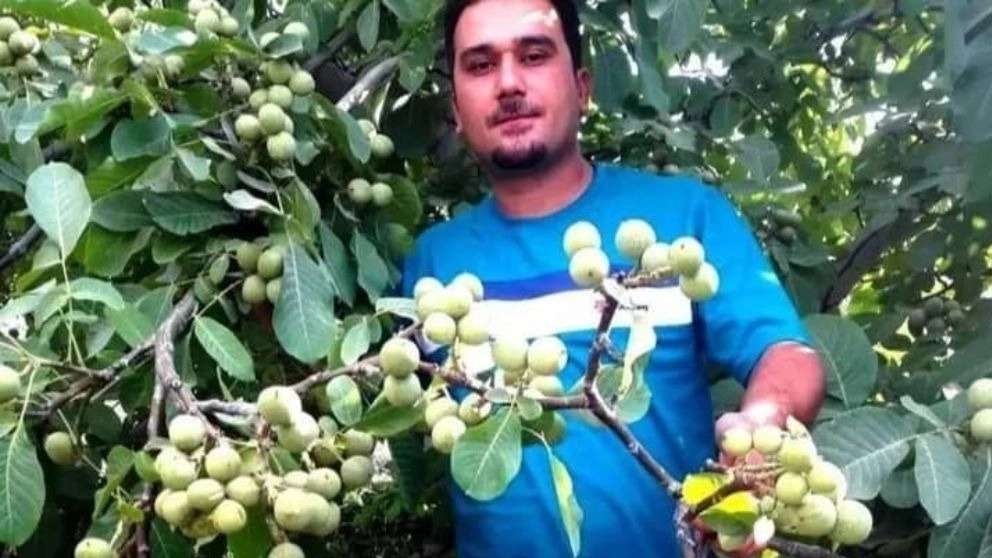 نهالستان شهر نهال