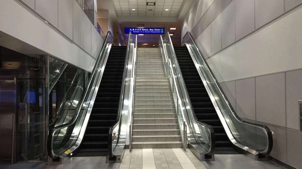 تک روند تندیس