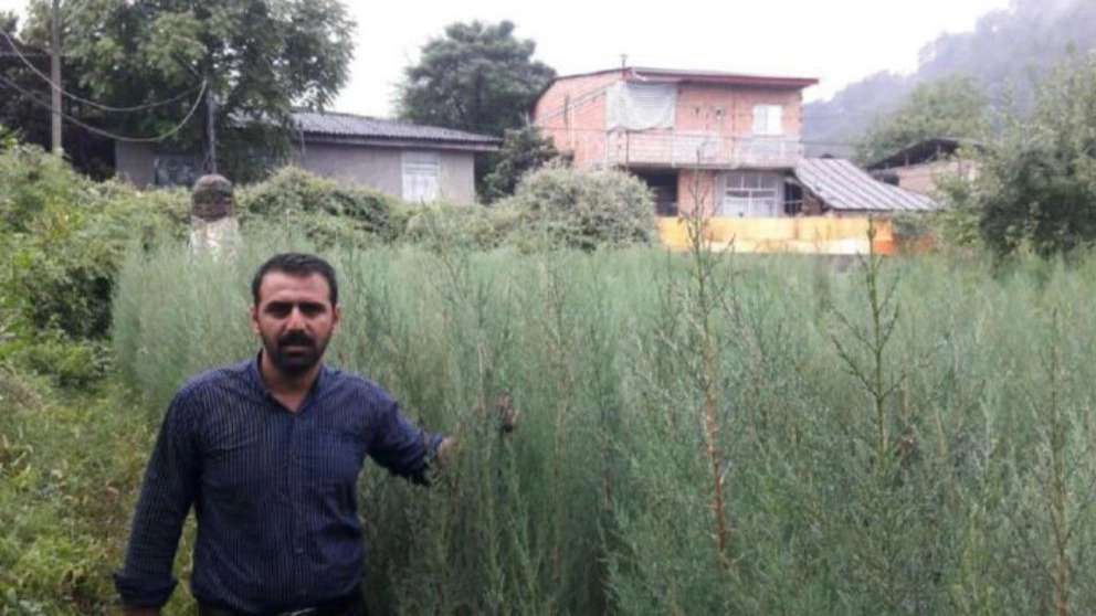 پرورش گل وگیاه نهال گستر