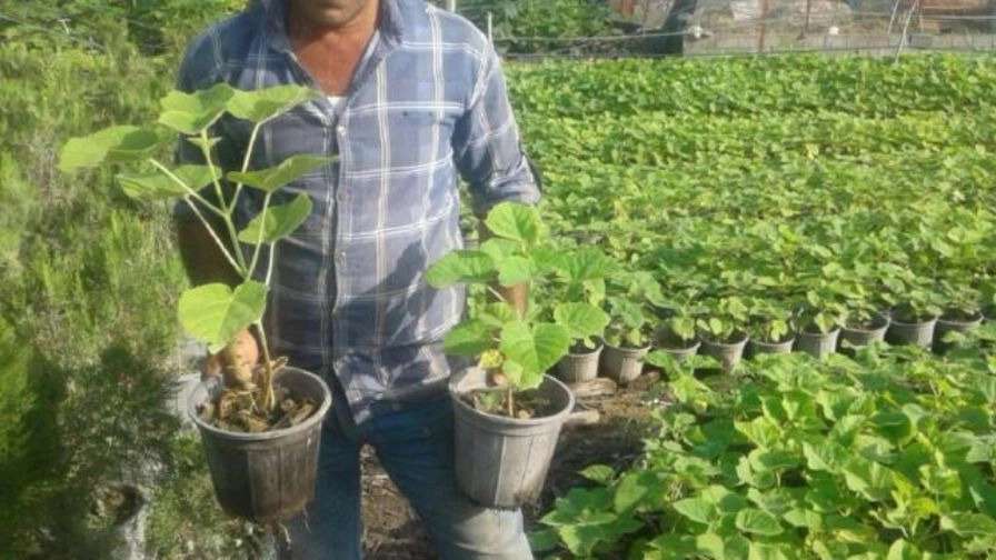 پرورش گل وگیاه نهال گستر