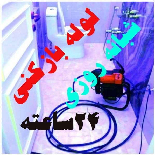 1703244546246.webp
