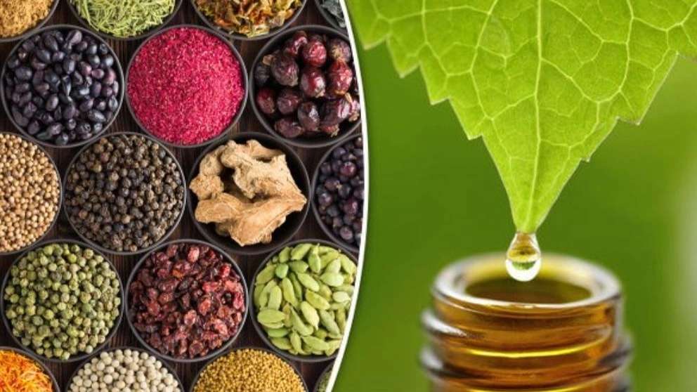 عطاری یوز طلایی