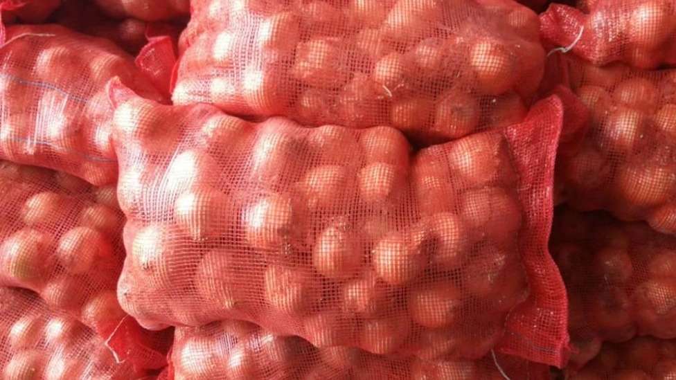 شرکت تورینه بافت