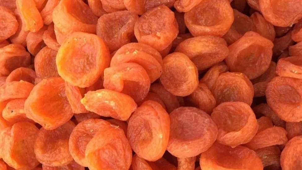آلو قیصی و میوه خشک موسوی