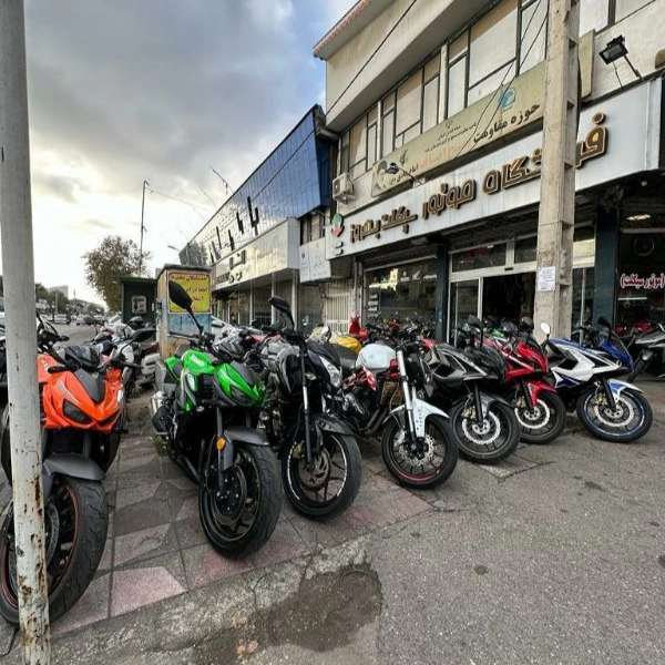 1704966565936.webp