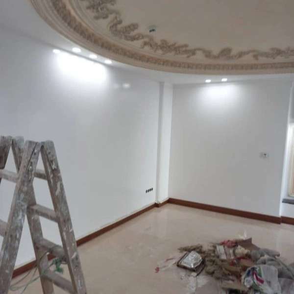 1704967741618.webp