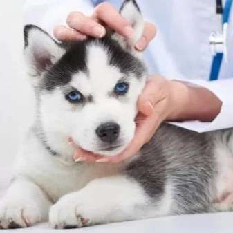 1705557512022.webp