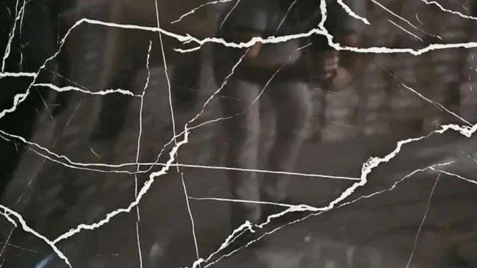 فروشگاه کاج