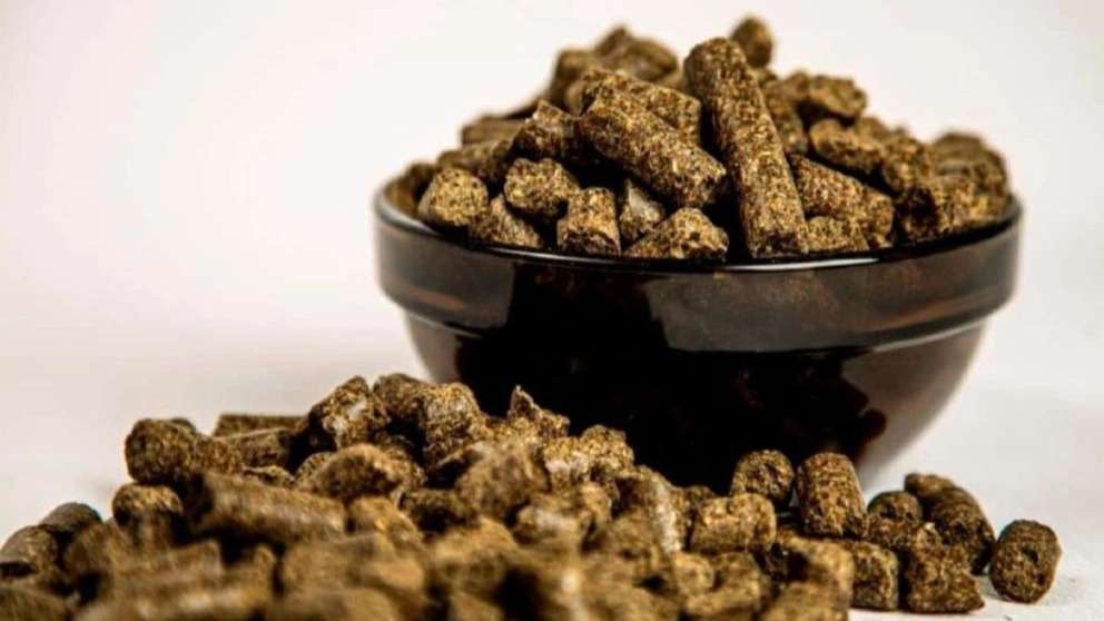 تفاله خوراک دام جوادی