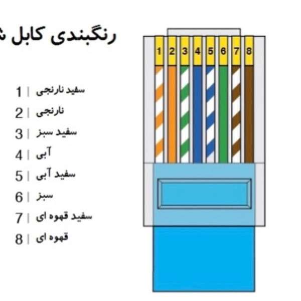 1706604674818.webp