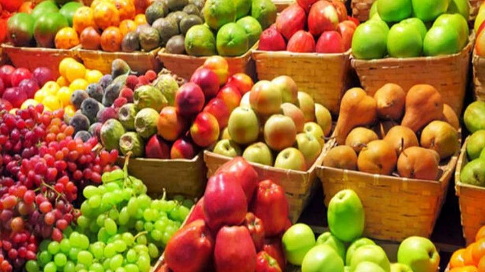 صادرات میوه بازرگانی وکیلی
