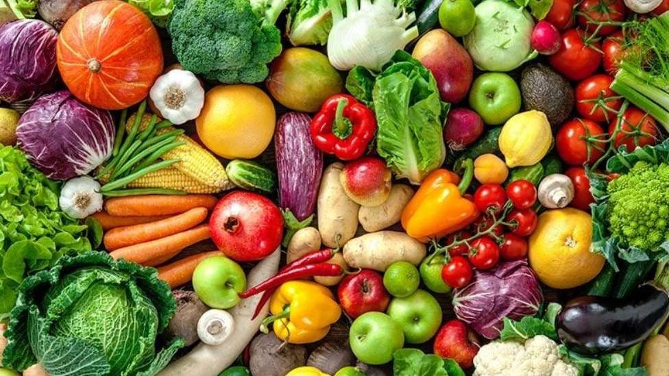 صادرات میوه بازرگانی وکیلی