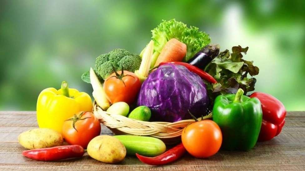 صادرات میوه بازرگانی وکیلی