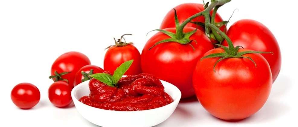صادرات رب گوجه هامان