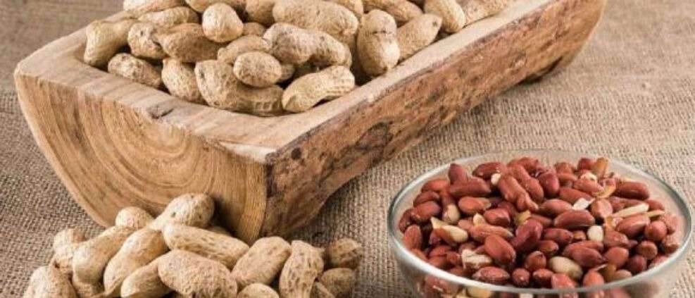 صادرات بادام زمینی حیدری