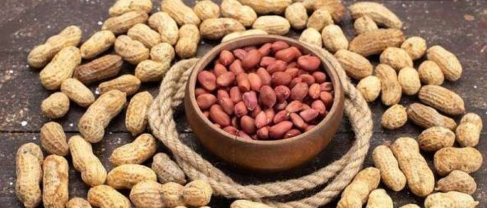 صادرات بادام زمینی حیدری