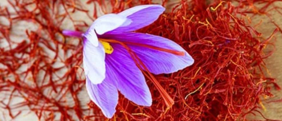 فروش زعفران ۱۰۱
