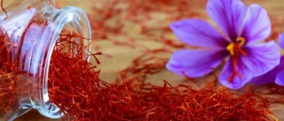 فروش زعفران ۱۰۱