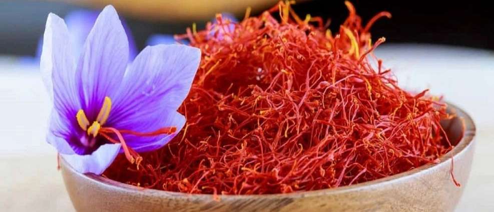فروش زعفران ۱۰۱