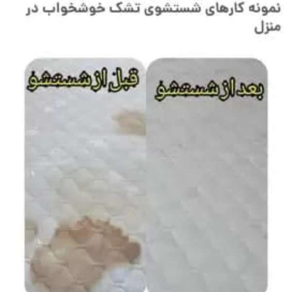 1707913565904.webp