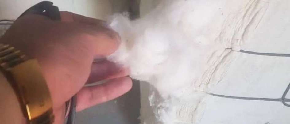 محلوج پنبه پنبه داران خراسان