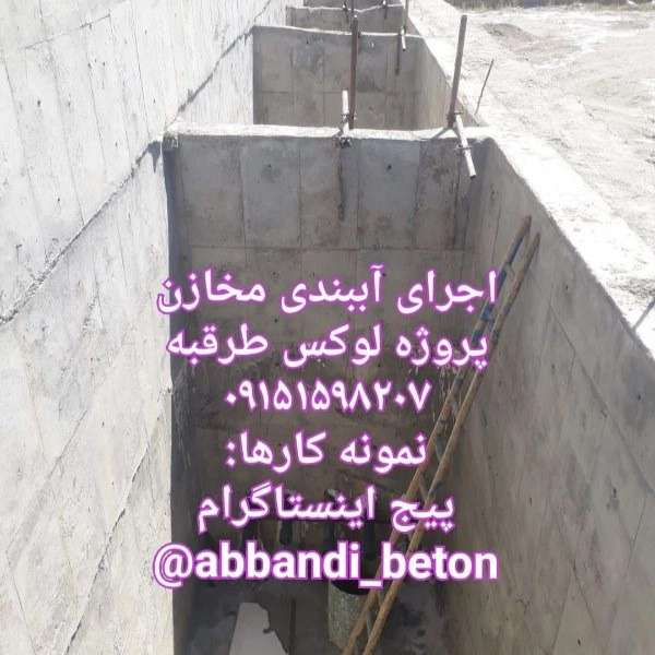 1709619179689.webp