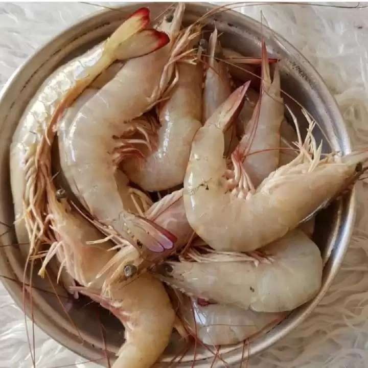 1709630540438.webp