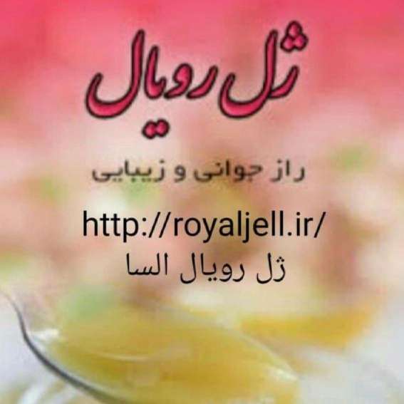 1711361938051.webp